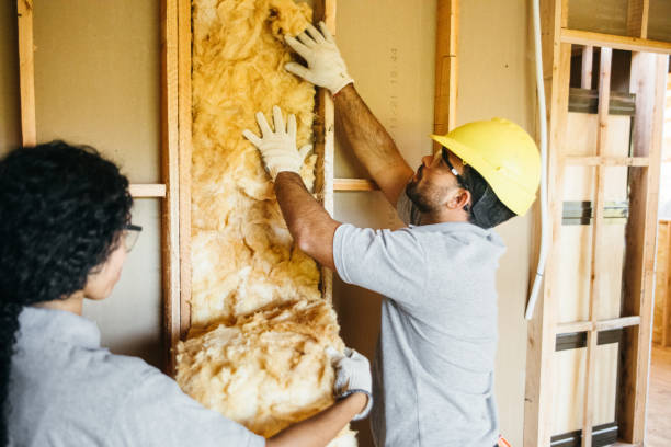 Best Spray Foam Insulation  in Fairfax, VA
